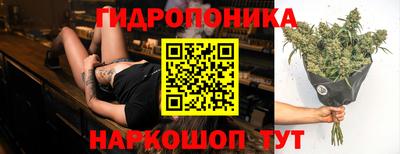 мяу мяу мука Кимры