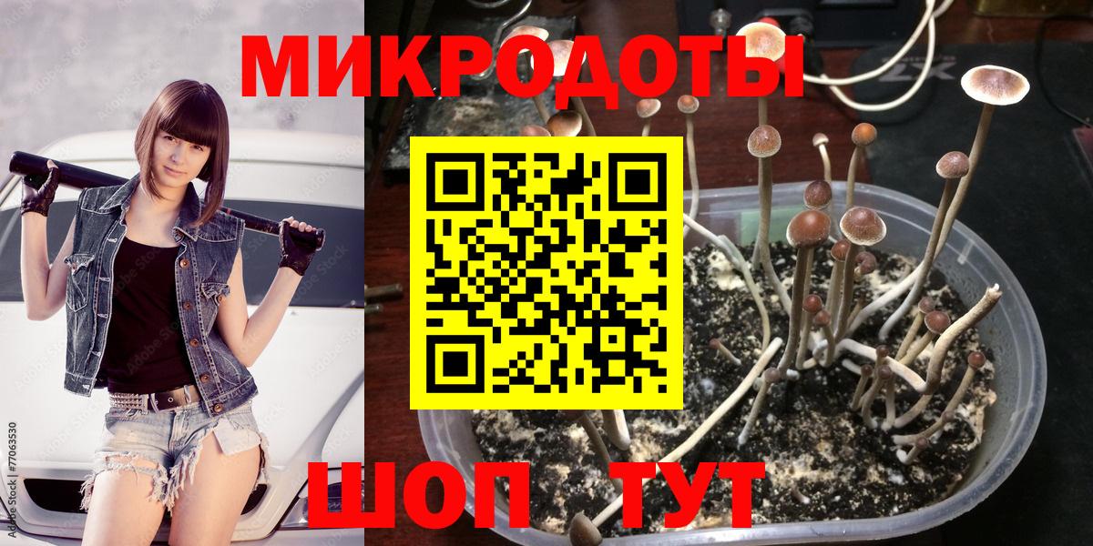 Псилоцибиновые грибы Psilocybine cubensis  Псилоцибиновые грибы прущие грибы  Вход с VPN  Лабинск 